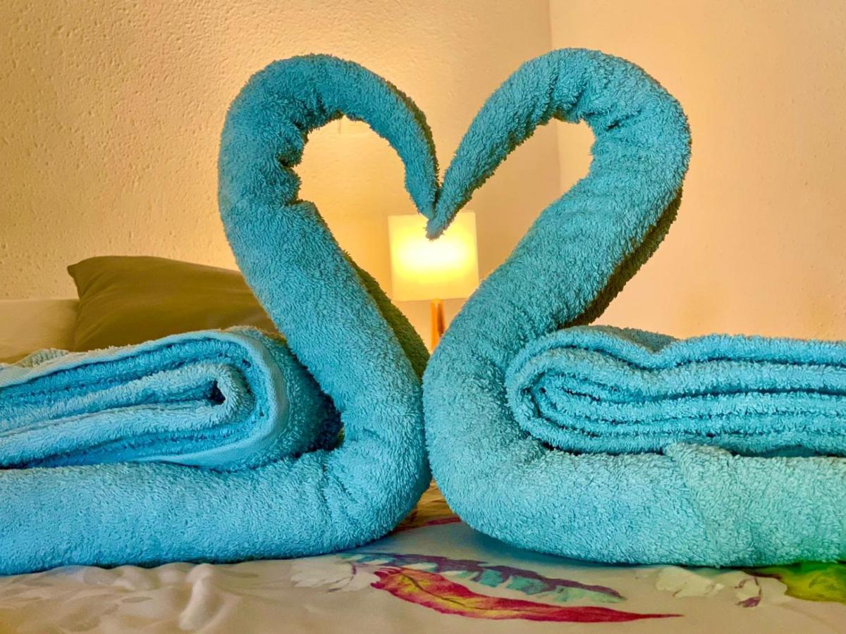 La Playa - L'Appartement Cozy - 2 A 5 Personnes Sainte-Anne  Dış mekan fotoğraf