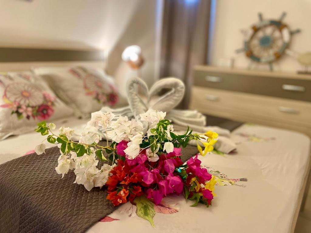 La Playa - L'Appartement Cozy - 2 A 5 Personnes Sainte-Anne  Dış mekan fotoğraf